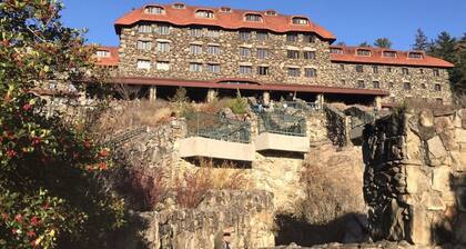 “Just BEE🐝Log Cabin"-Stunning, peaceful, NEW, -10 min to Dwtn Asheville, dogs ok