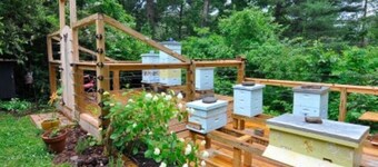 “Just BEE🐝Log Cabin"-Stunning, peaceful, NEW , -10 min to Dwtn Ashe