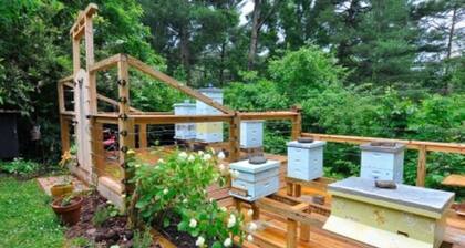 “Just BEE🐝Log Cabin"-Stunning, peaceful, NEW , -10 min to Dwtn Ashe