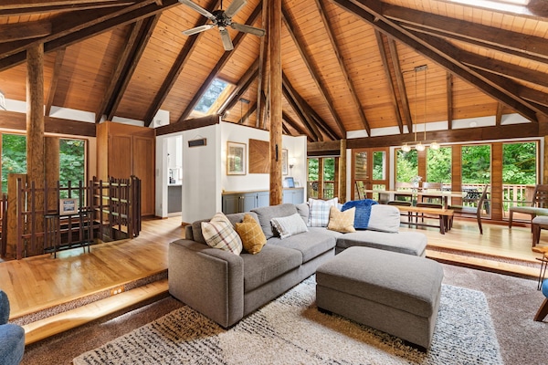 Bright open concept living room with cozy seating and scenic 360 forest views.