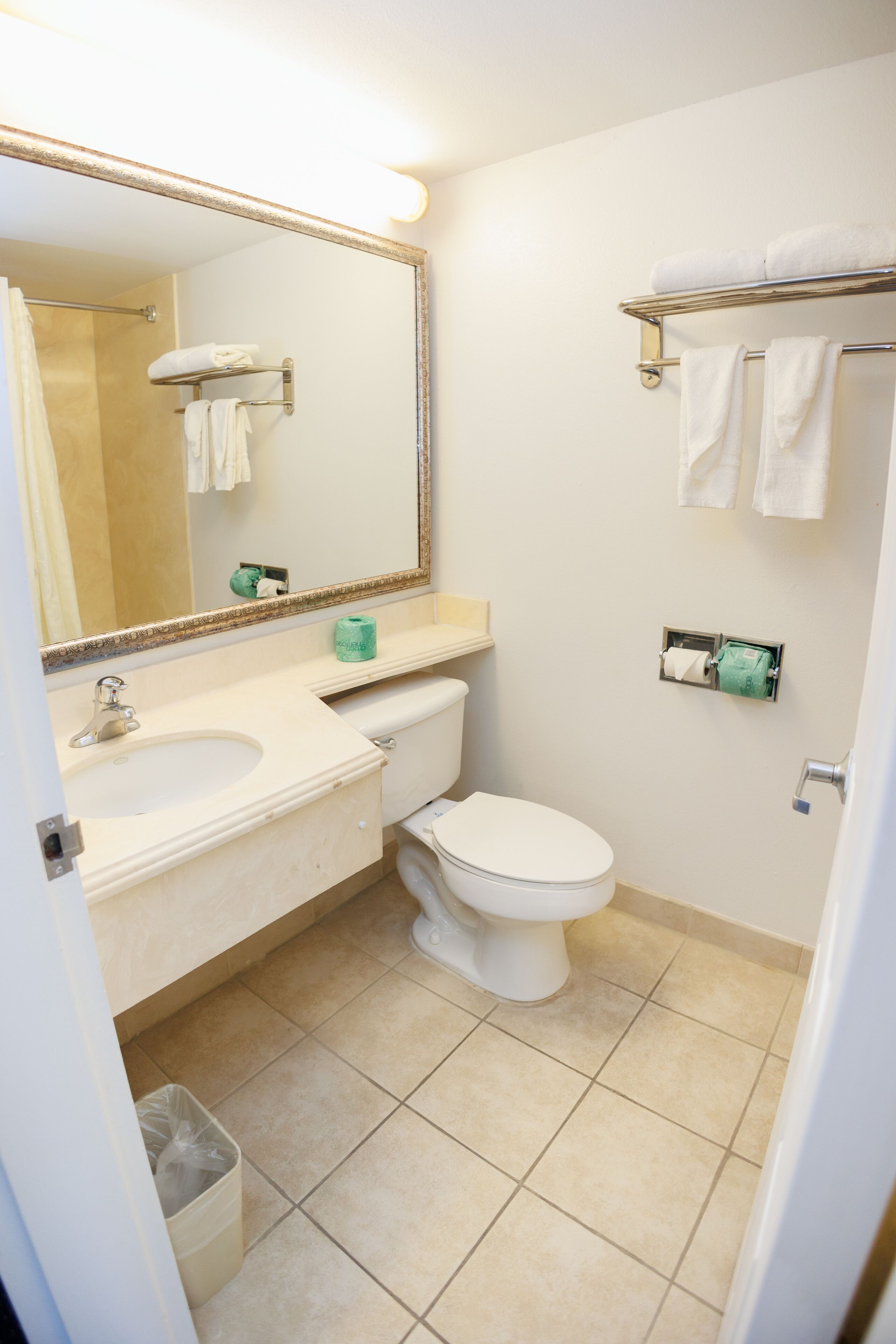 A bathroom with a sink, toilet, and a mirror.