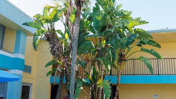 Una piscina al aire libre (de 09:00 a 21:00), sombrillas, tumbonas