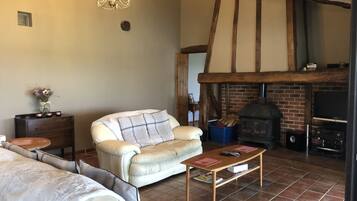 Smart TV, fireplace, DVD player, ping pong