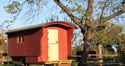 Schäferwagen 2 - Schäferwagen im Leipziger Neuseenland