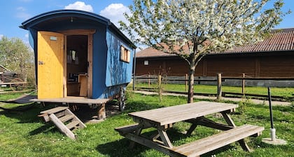 Schäferwagen blau - Schäferwagen im Leipziger Neuseenland