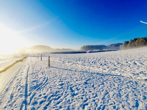 Unclassified image, 5 of 62, button