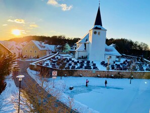 Unclassified image, 2 of 62, button