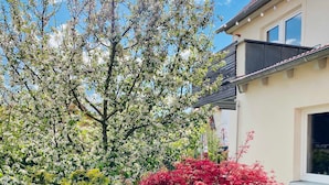 Una casa con balcón, un árbol con flores blancas y un arbusto rojo.