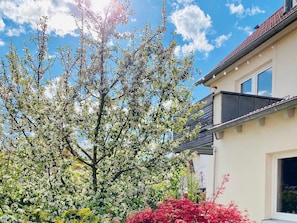 A house with a balcony, a tree with white blossoms, and a red bush. - Ferienwohnung Schusterstube - Ferienhof Stephanus (Ebermannstadt)