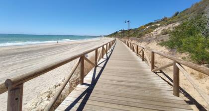 Large terrace and pool