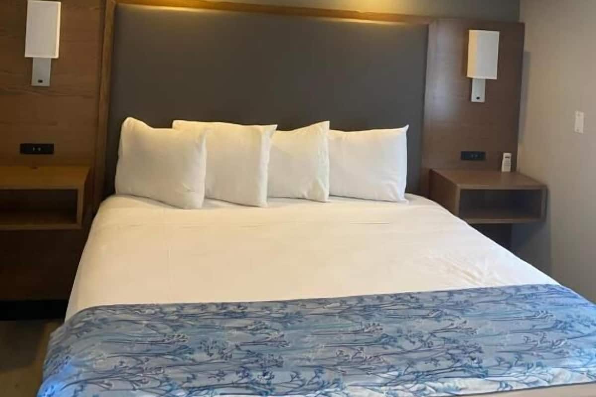 Single Room, Accessible | Down duvets, Select Comfort beds, blackout curtains, free WiFi