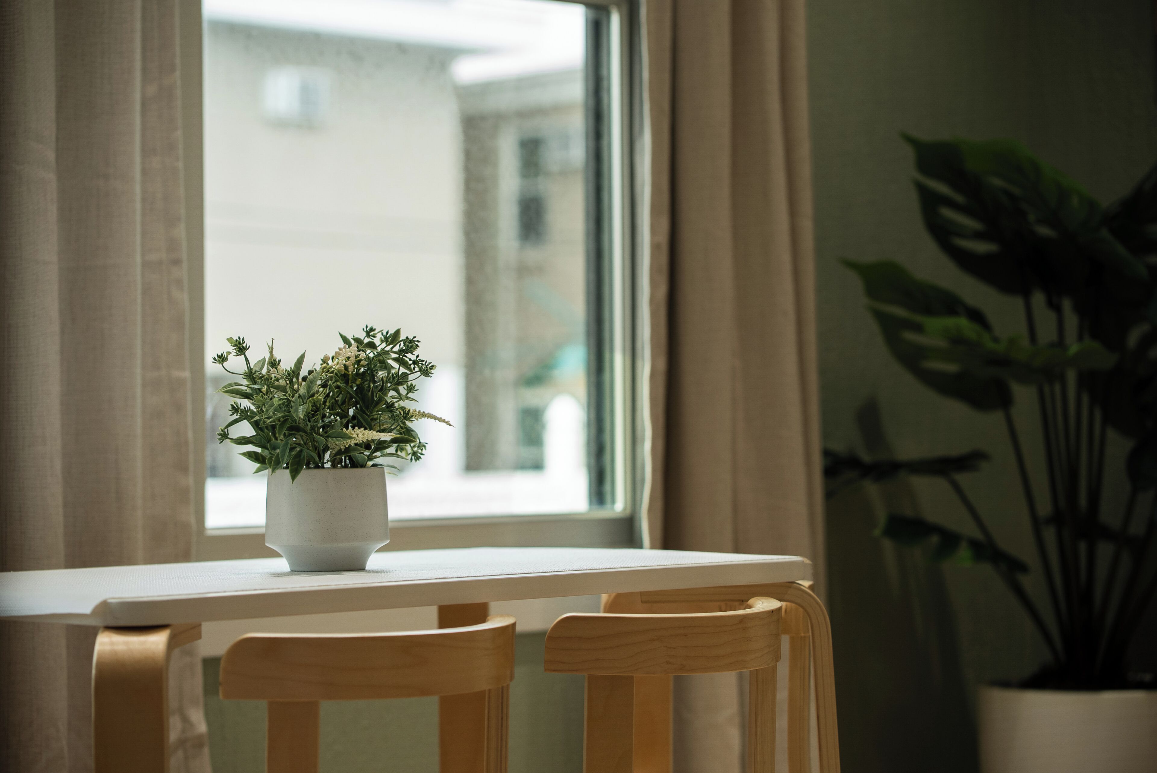 A window with a view of buildings, a potted plant on a table, and a chair.