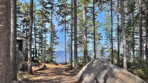 A forested area with a cabin and a large rock.