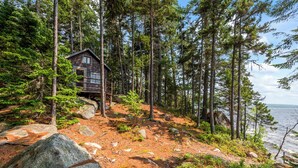 A cabin surrounded by tall pine trees, a dirt path, and a body of water.