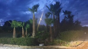 A nighttime view of a palm tree-lined area with a well-lit pathway.