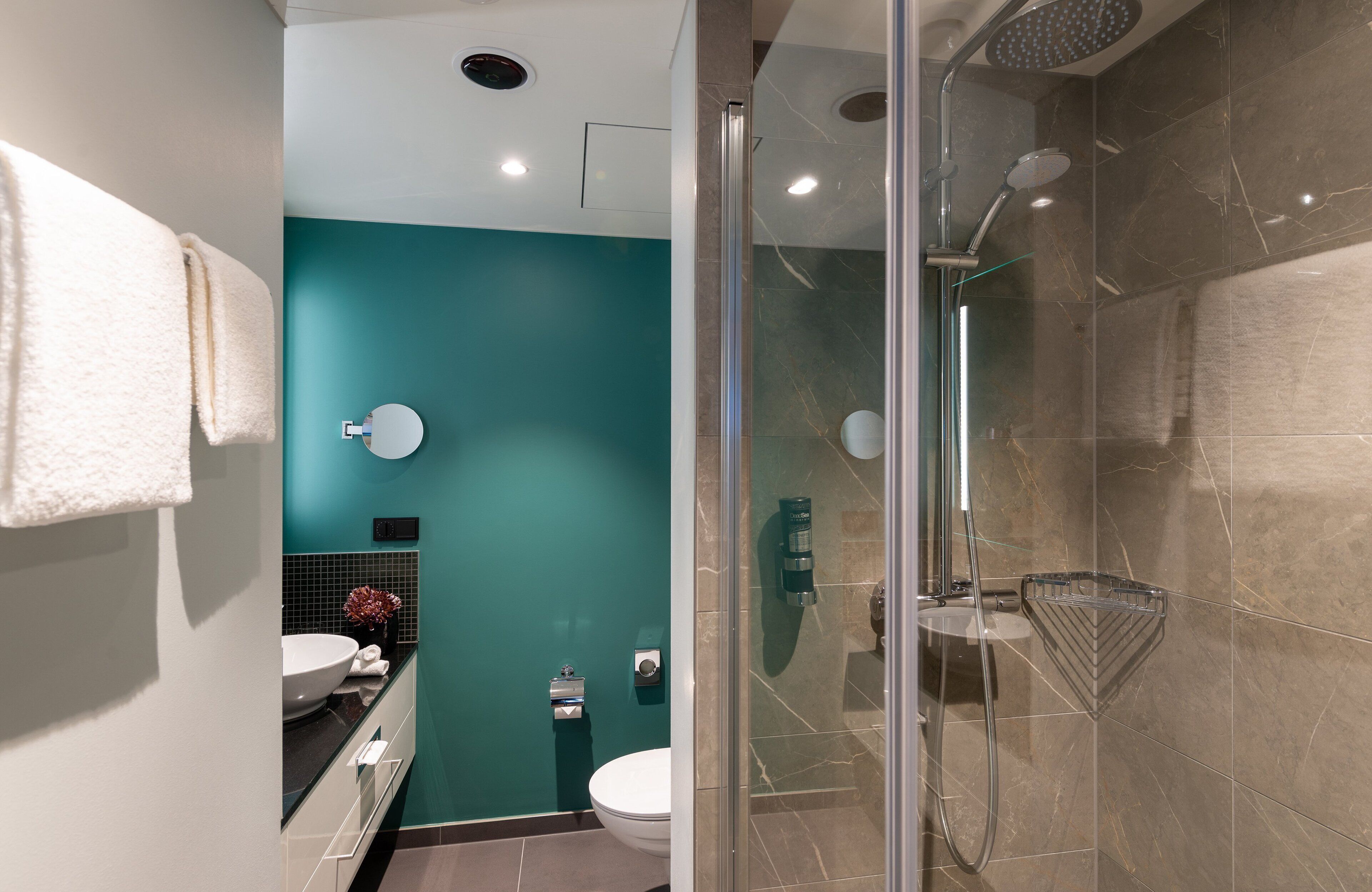 eco-friendly toiletries, hair dryer, towels