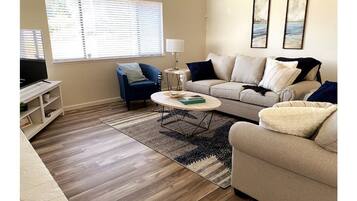 Smart TV, fireplace, books