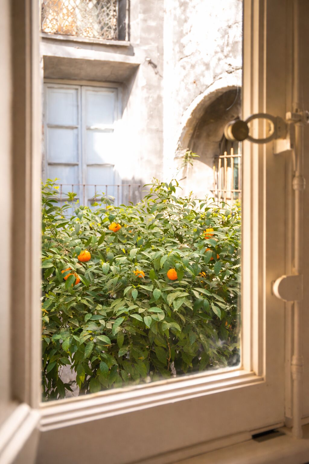 Ein Fenster mit Blick auf eine Gebäudefassade und einen Garten mit Orangenbäumen.