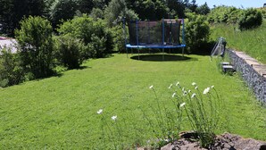 En græsplæde bagved med en trampolin, omgivet af træer og en stenvæg.