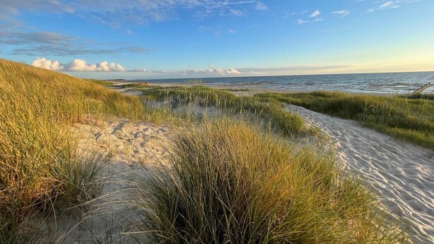 A coastal landscape with sand dunes and a clear sky. - Ferienwohnung Fuchsbau Vitte (Insel Hiddensee)