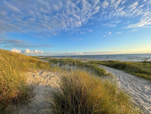 On the beach - Ferienwohnung Fuchsbau Vitte (Insel Hiddensee)