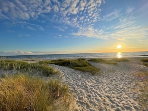 Accommodatie ligt op het strand