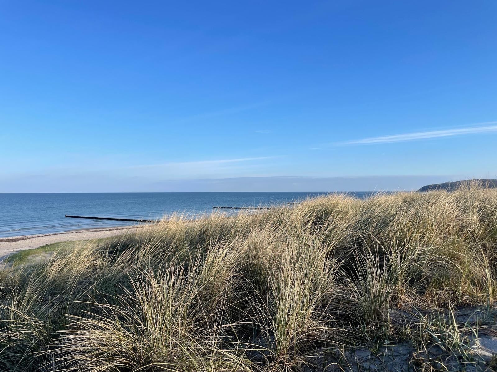 Eine Küstenlandschaft mit blauem Himmel, Sandstrand und grasbewachsenen Dünen.