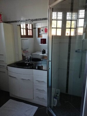 Shower, hair dryer, towels, toilet paper