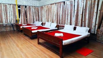 Hypo-allergenic bedding, desk, iron/ironing board, bed sheets