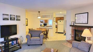 Télévision, cheminée, lecteur de DVD