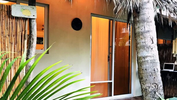 A modern building with a wooden deck, a palm tree, and a bamboo fence.