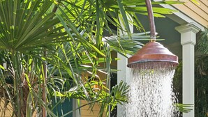 Una fuente con barandilla blanca y una palmera en primer plano.