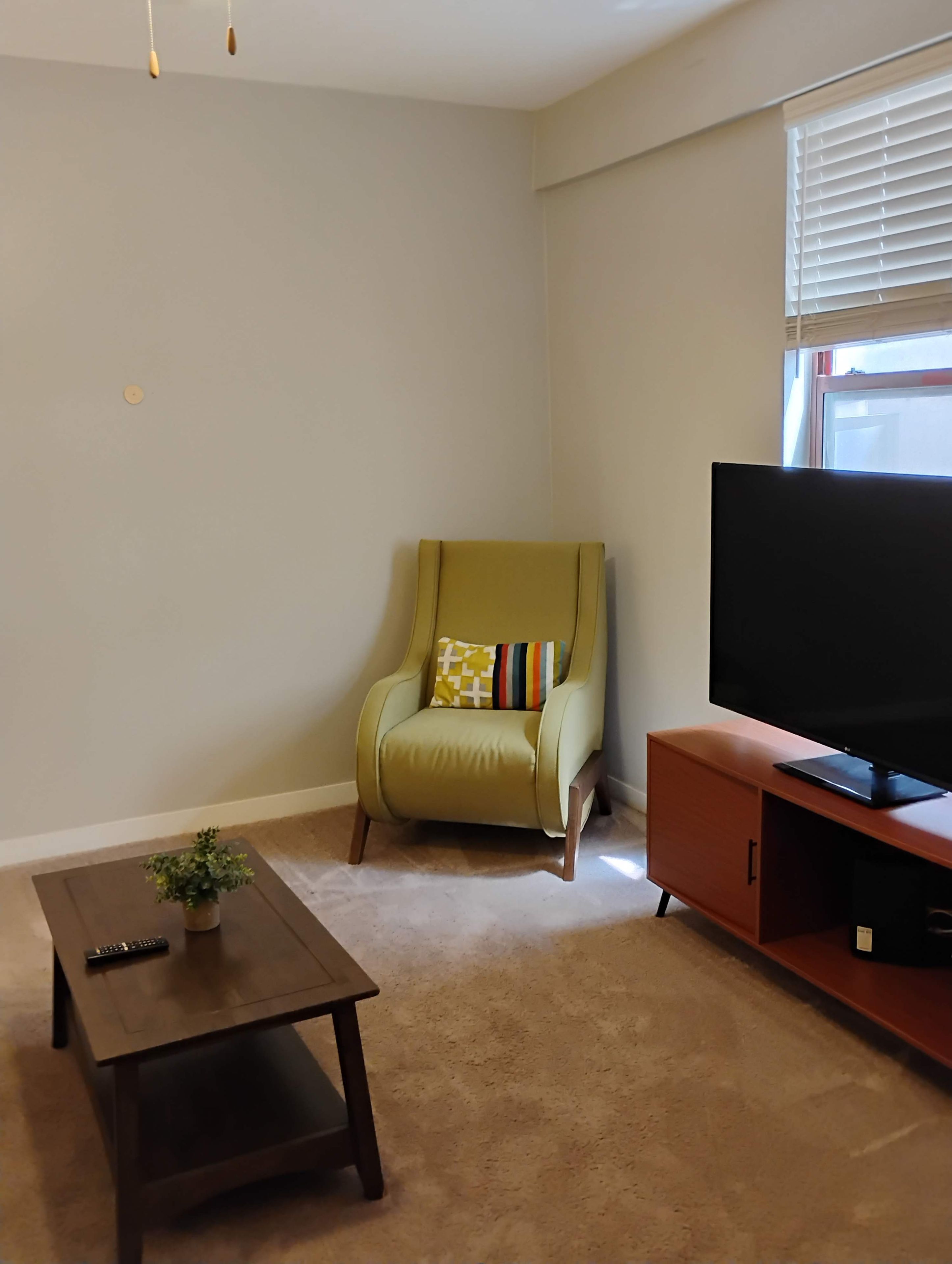 A living room with a green armchair, a television on a wooden stand, a small table with a plant, and a window with blinds.