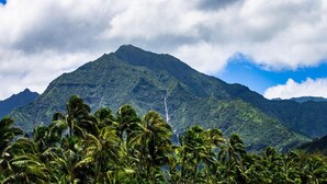 A mountain with lush greenery and palm trees in the foreground.
