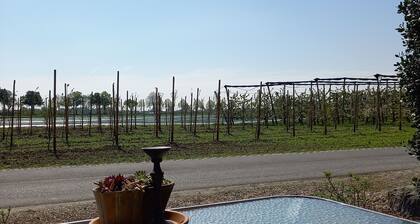 Apartment in a quiet location, in the middle of orchards on the outskirts of St.Tönis