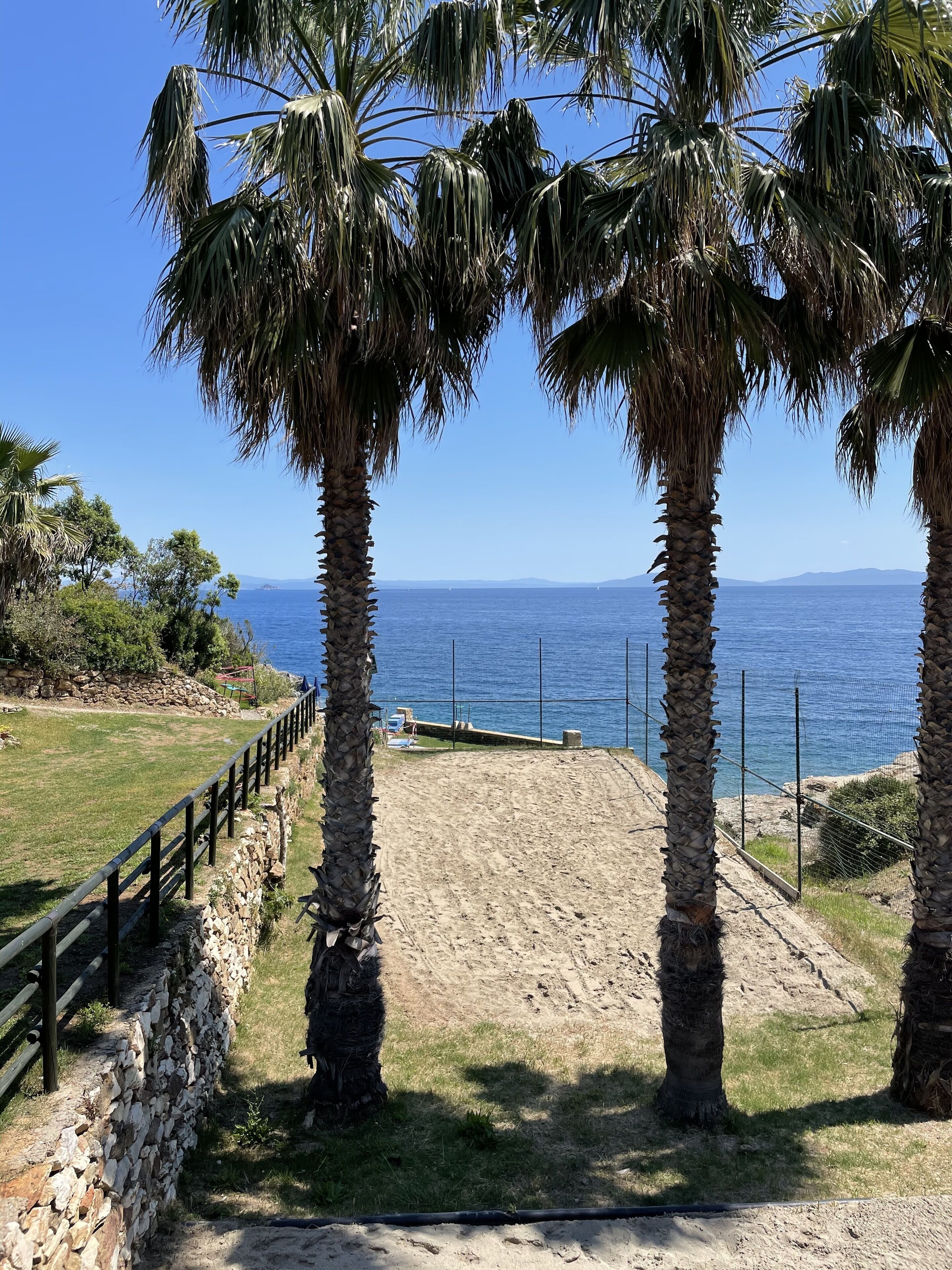 A coastal pathway with palm trees, a stone wall, and a view of the sea.