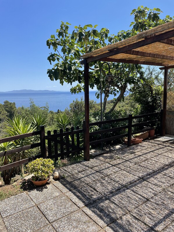 Um espaço coberto ao ar livre com vista para o mar, rodeado por vegetação e plantas em vasos.