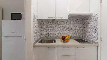 GroĂer KĂŒhlschrank, Mikrowelle, Herdplatte