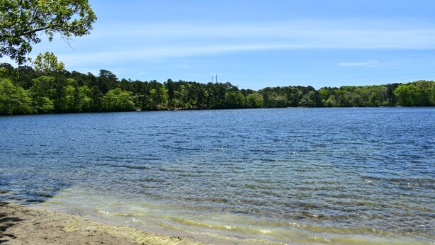 Un lac aux eaux limpides, une plage de sable et une rive bordée d’une forêt.