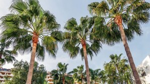 A resort with palm trees, cacti, and a rocky garden.