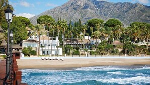 A beachfront hotel with a mountain backdrop, palm trees, and a sandy beach. - Palo Alto | Marbella Luxury Rooftop Penthouse (Ojén)