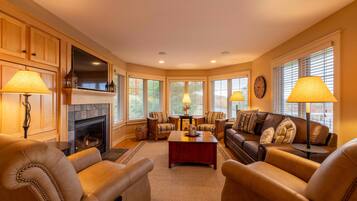 Smart TV, fireplace, DVD player, video library