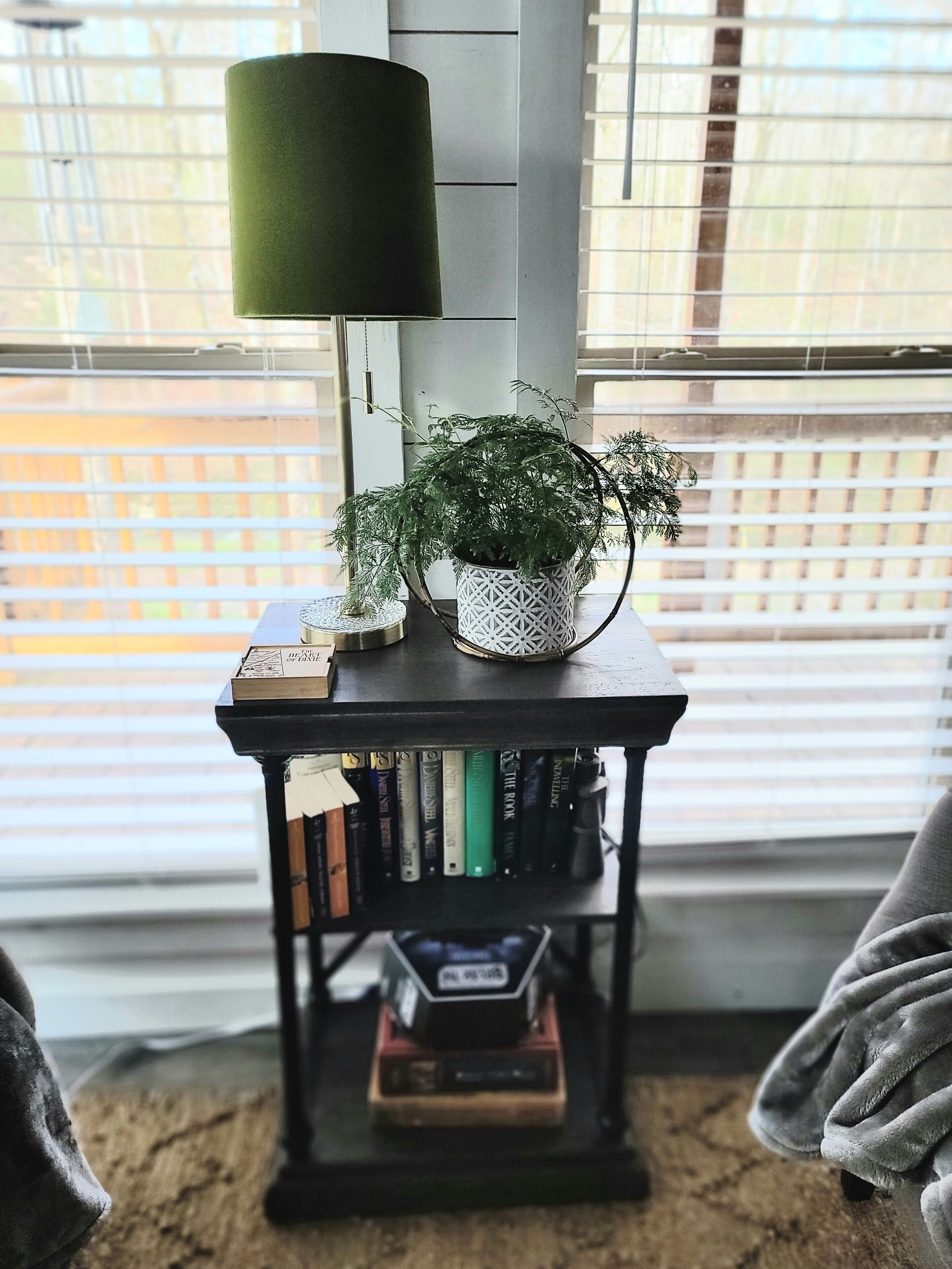 Een boekenplank met boeken en een kamerplant, een lamp en een raam met zonwering.