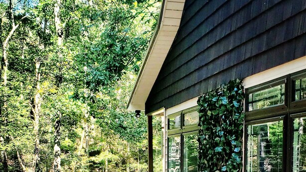 Une terrasse en bois avec des chaises bleues et une table, entourée d’une végétation luxuriante.