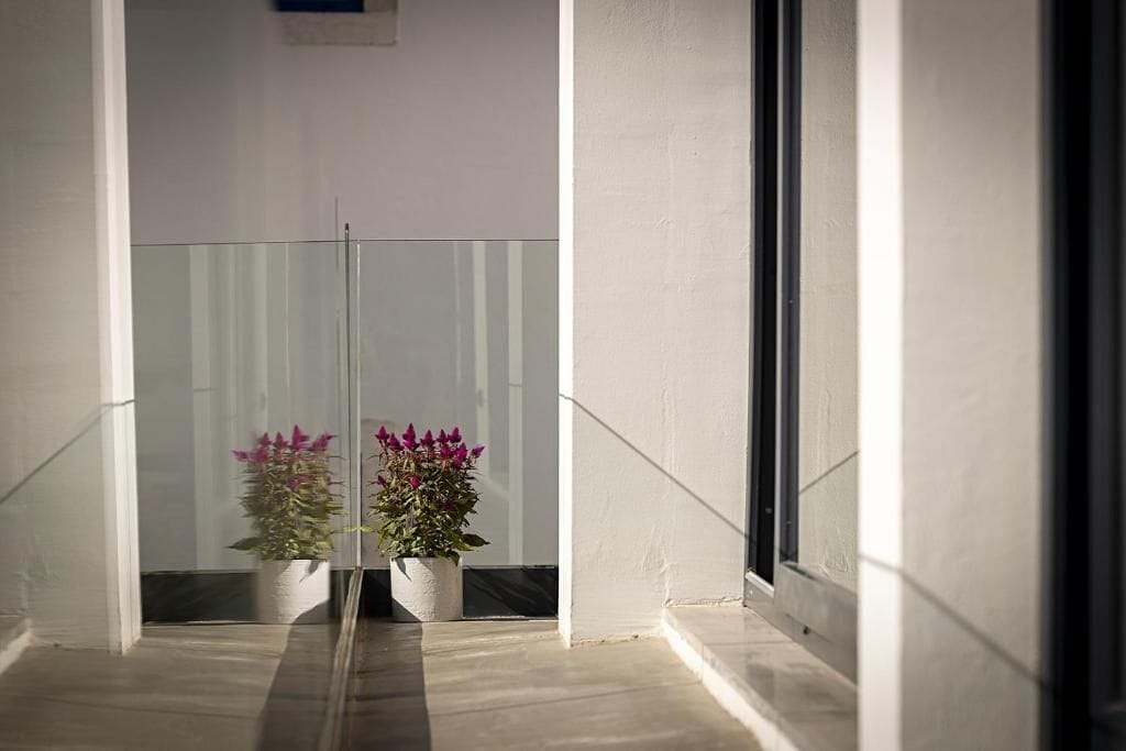 A modern interior with a glass door leading to a balcony, two potted plants, and a clean, minimalist design.