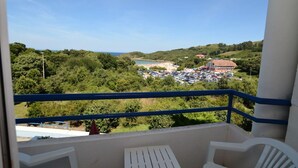 Un balcon avec vue sur une plage, un parking et la végétation environnante.