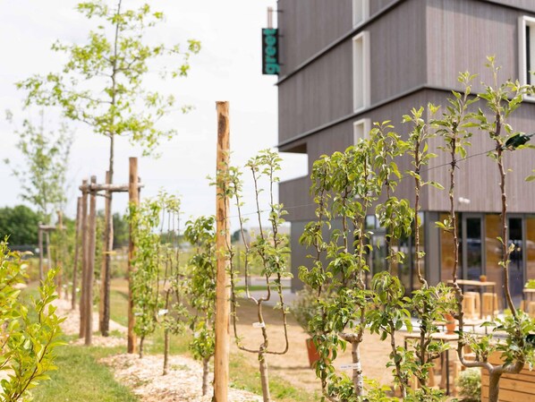 A garden with young trees supported by wooden stakes, a building with a 'green' sign, and outdoor seating.