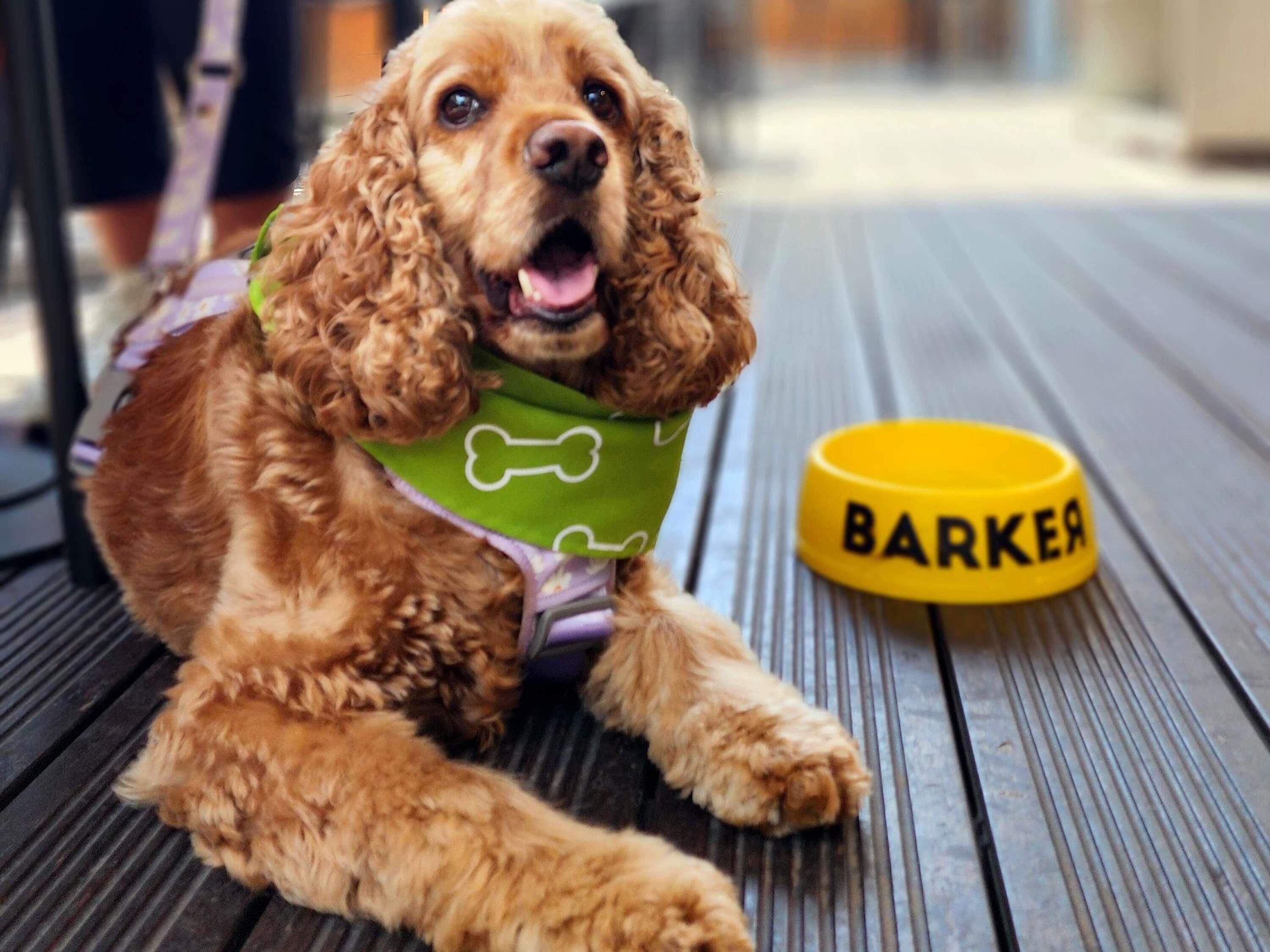 Foto - ibis styles Lima San Isidro