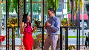 Un couple se tient dans un espace intérieur moderne, doté de grandes fenêtres, de plantes en pot et offrant une vue sur la rue.