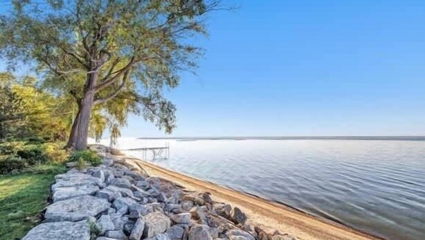 Ein Kiesweg führt zu einem Strand mit einem Baum und ruhigem Wasser.